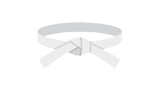 White Belt - Beginner